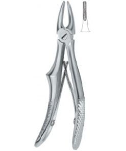 Incisors and cuspids 137