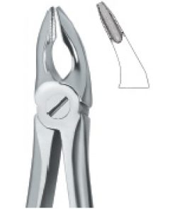 Incisors and Bicuspids 35N