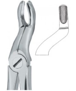 Tooth Ext Forceps