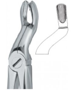 Tooth Ext Forceps