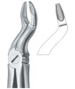 Tooth Ext Forceps 57B