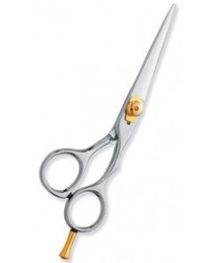 Professional hair Cutting Scissors
