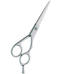 Professional hair Cutting Scissors