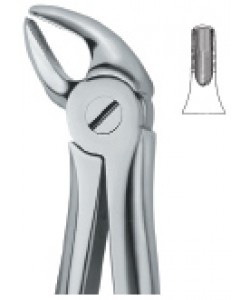 Incisors and Cuspids 38 – King100 industries