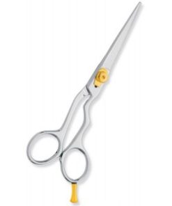 Professional hair Cutting Scissors