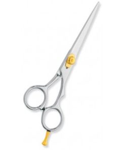 Professional hair Cutting Scissors